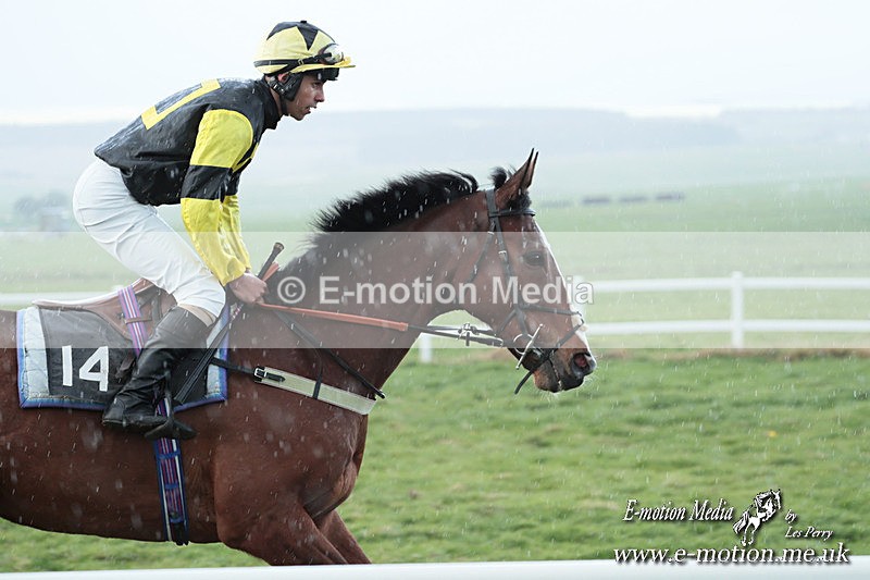 PtP 230324 796 - Tedworth Hunt PtP Larkhill Raccourse 23rd March 2024