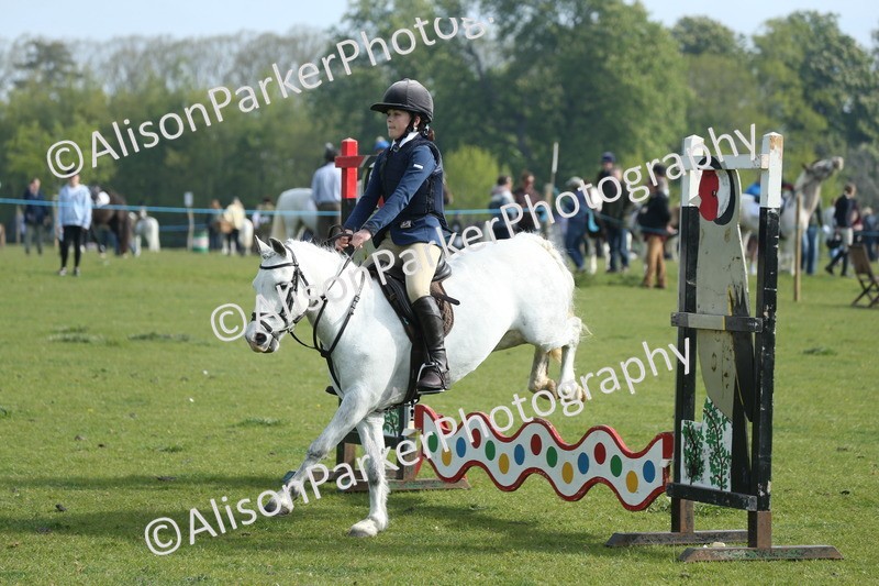20260426-0108 - Class 13 - Rookie Jumping 50cm