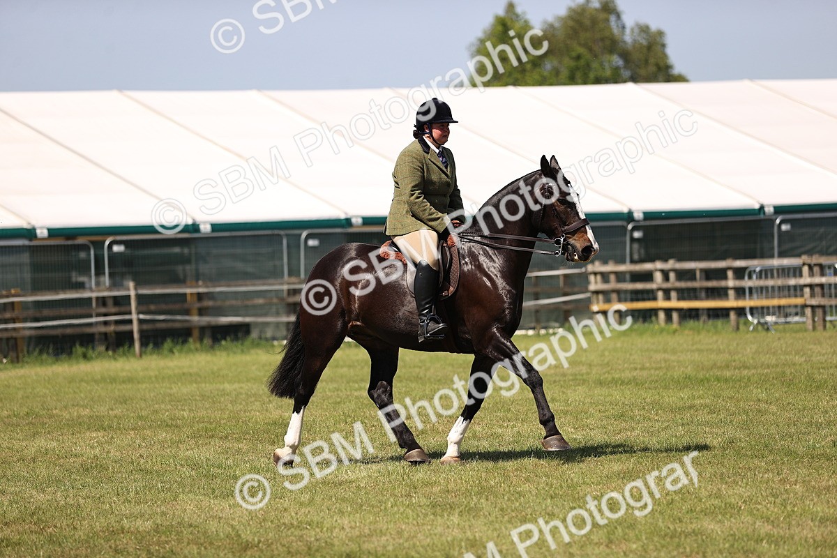 SBM_17922 - Class 81-83 - TSR Ridden Amateur of the Year - Horses