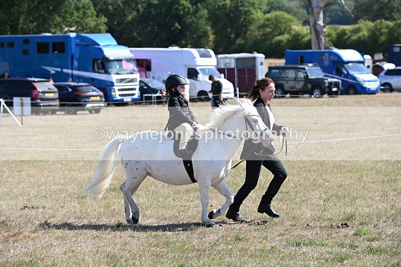 WJ6_7843 - Class 36 Lead Rein