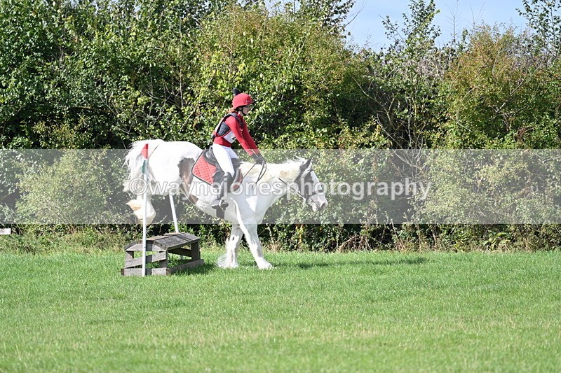 WJ7_8926 - Time 11:10 to 11:53