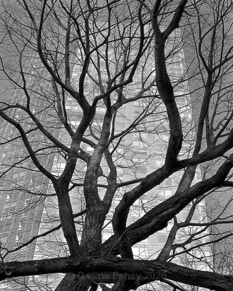 - New York 2