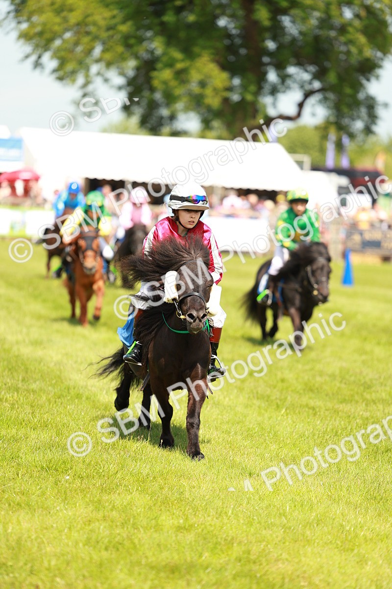SBM_04832 - Shetland Grand National