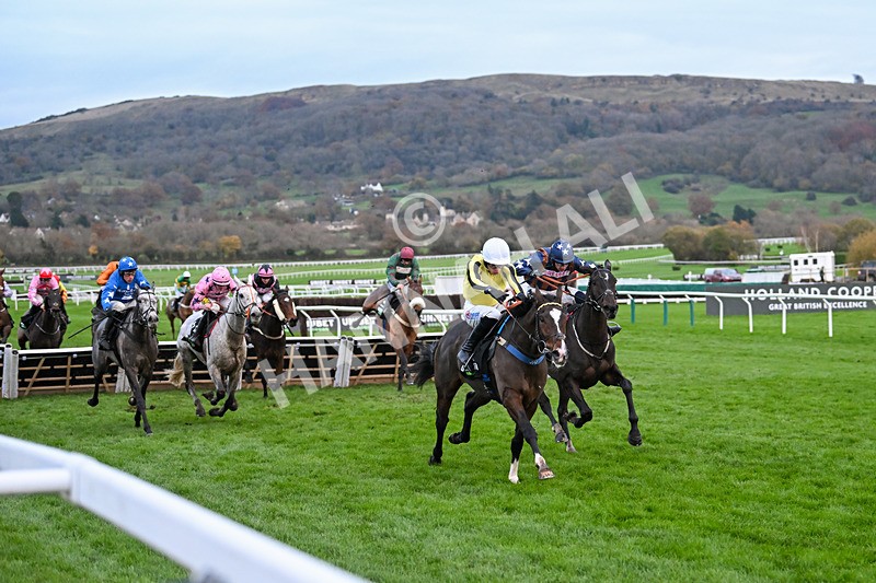 171124-Race 5-Burdett Road-4292 - Race 5