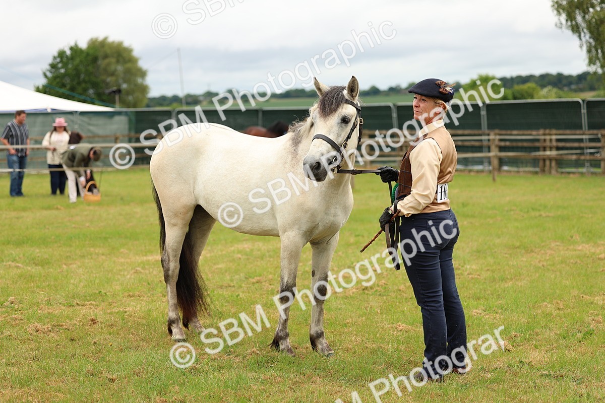 SBM_04117 - Class 64-67 - Shetland Pony In Hand