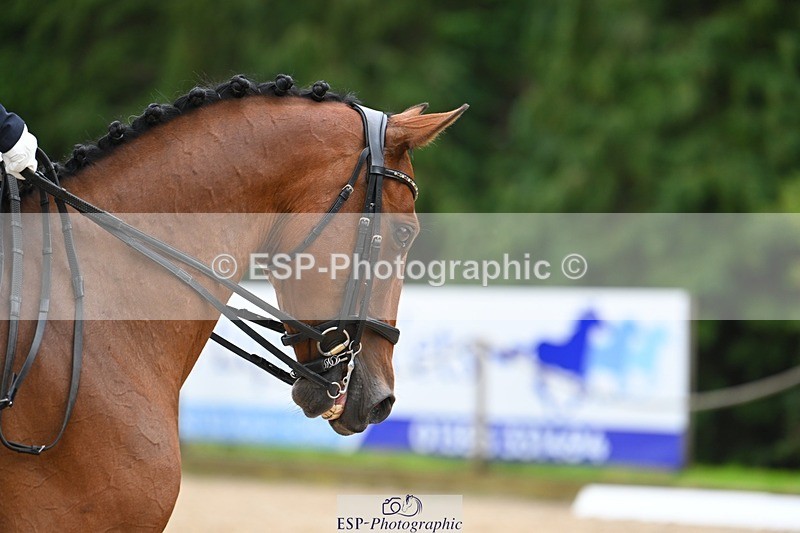 230813-172256-08653 - Cls 14 Medium Silver 16.45 to End