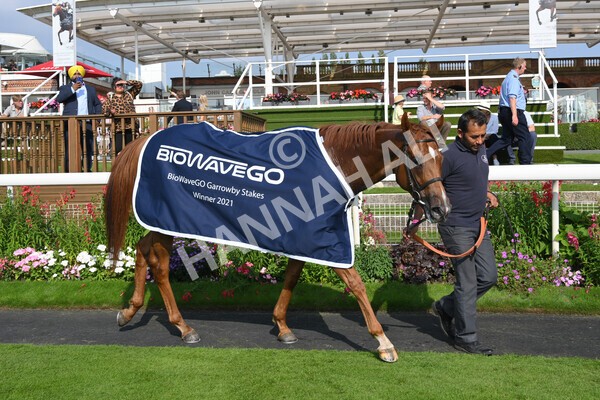 yr05092021r3-33 - Race 3 3.15pm The BioWaveGo Garrowby Stakes
