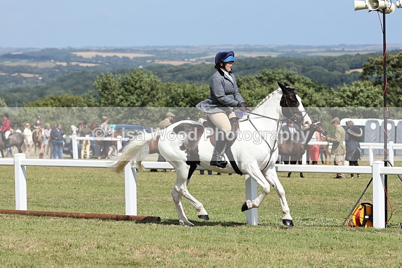 JPP_2294 - Class 19: Working Hunter 60cm