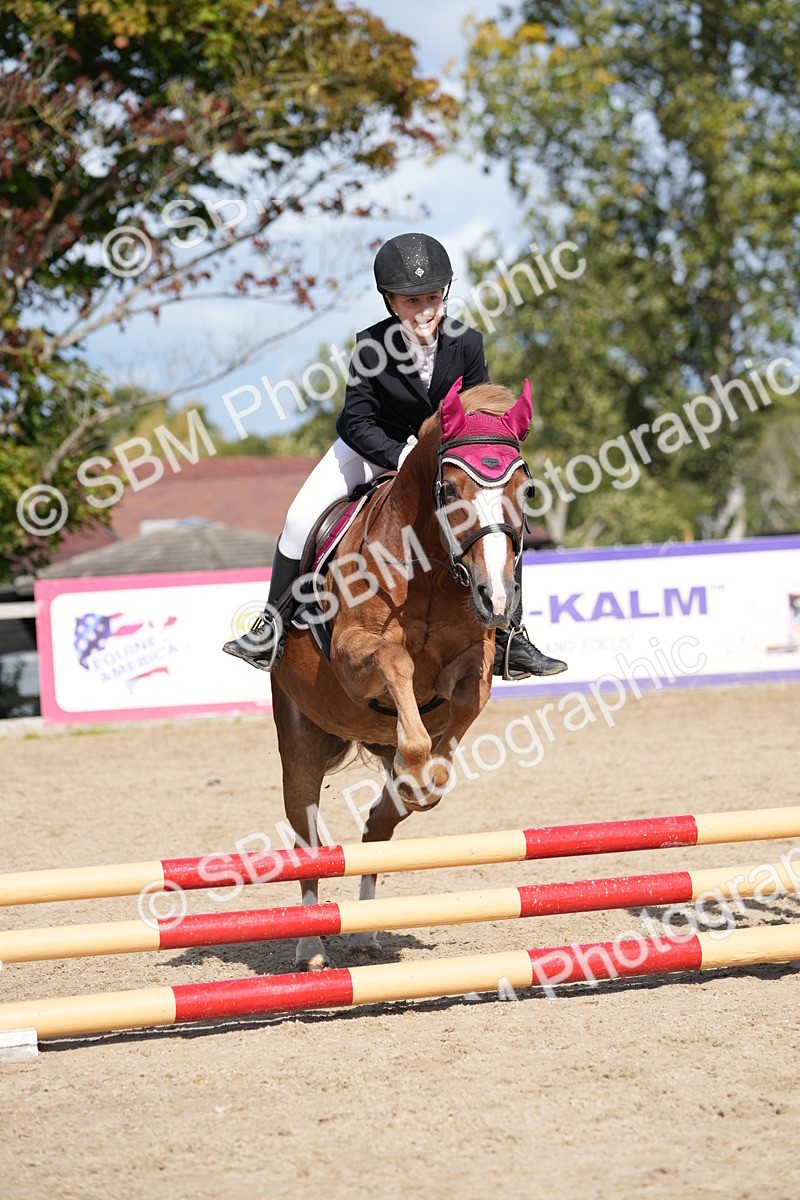 SBM_17995 - J58 - Clear Round 50cm