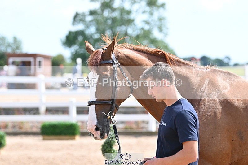 240717A-145903-02400 - Trot Up 2pm to 3pm - This folder is not in time order