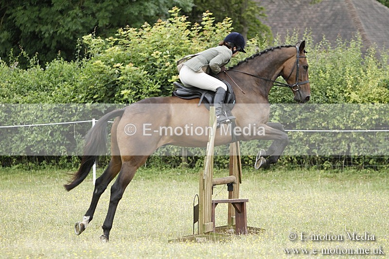 BVR160717-1663 - Ring 3 BVRC Show 16/07/17