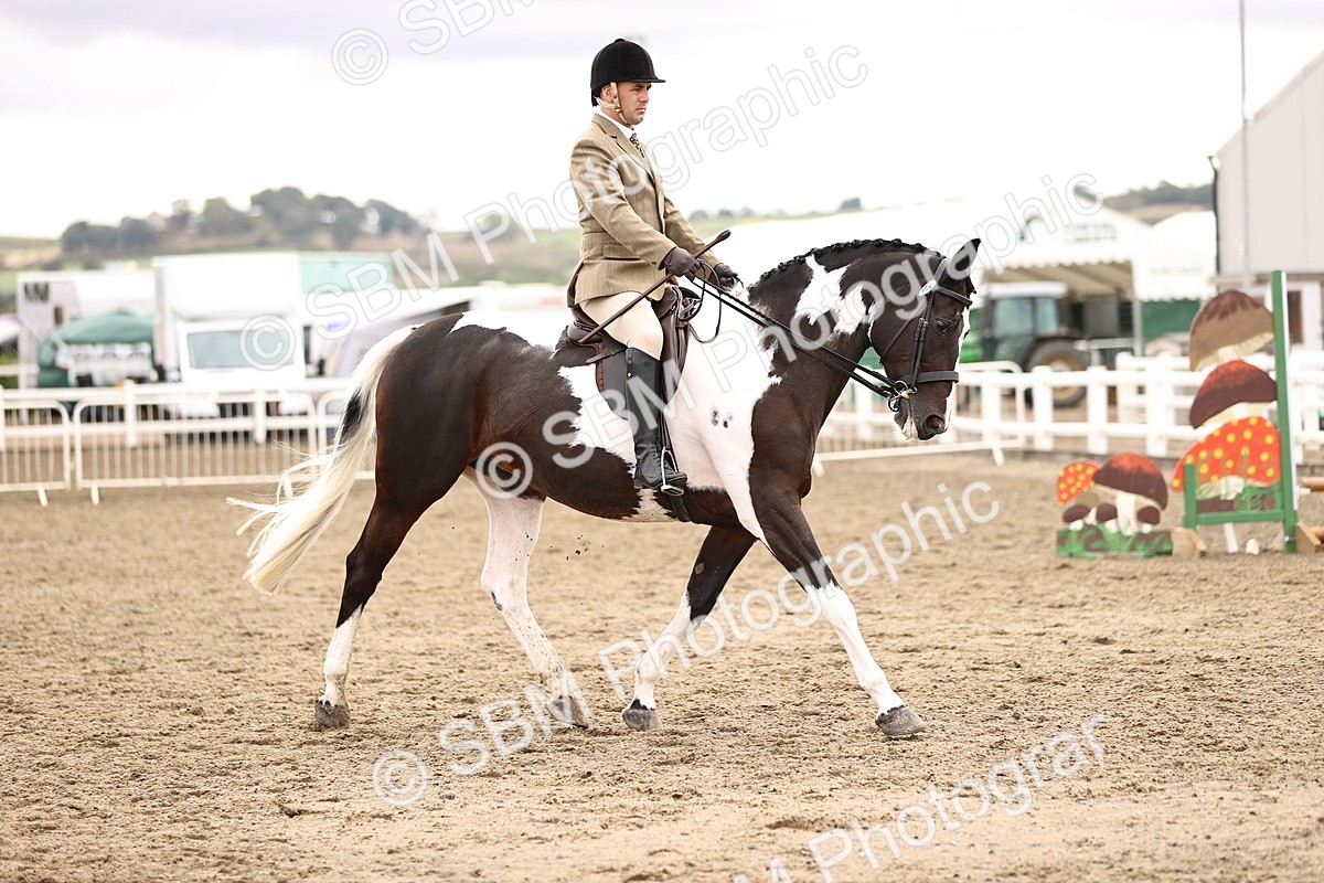 SBM_01397 - Class 54 - Riding Club Horse Pony