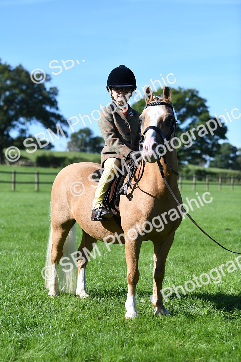 SBM_36868 - S18 - Novice & Newcomers Lead Rein Pony