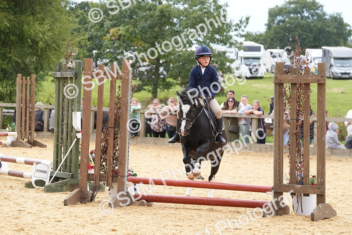 SBM_70634 - J3 - Mini Tour Junior Pony 40cm Championship