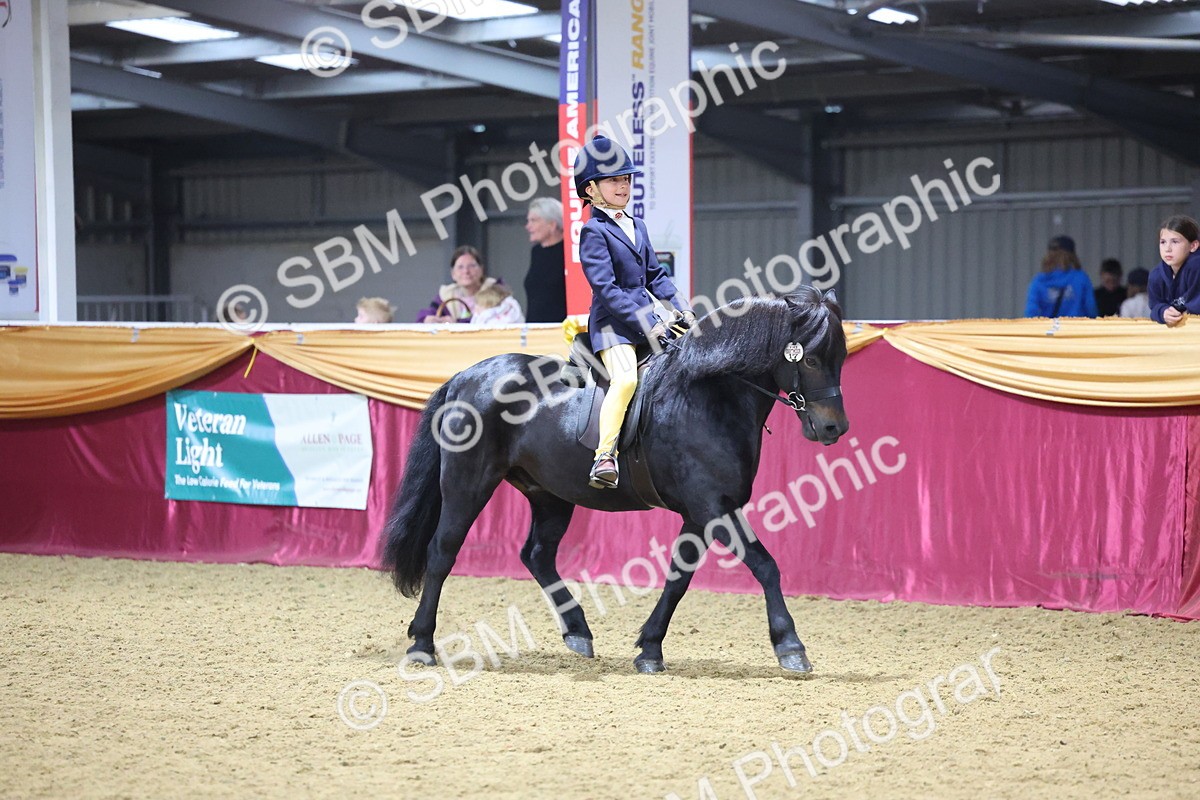 SBM_18993 - Class G Ridden Pony Champ