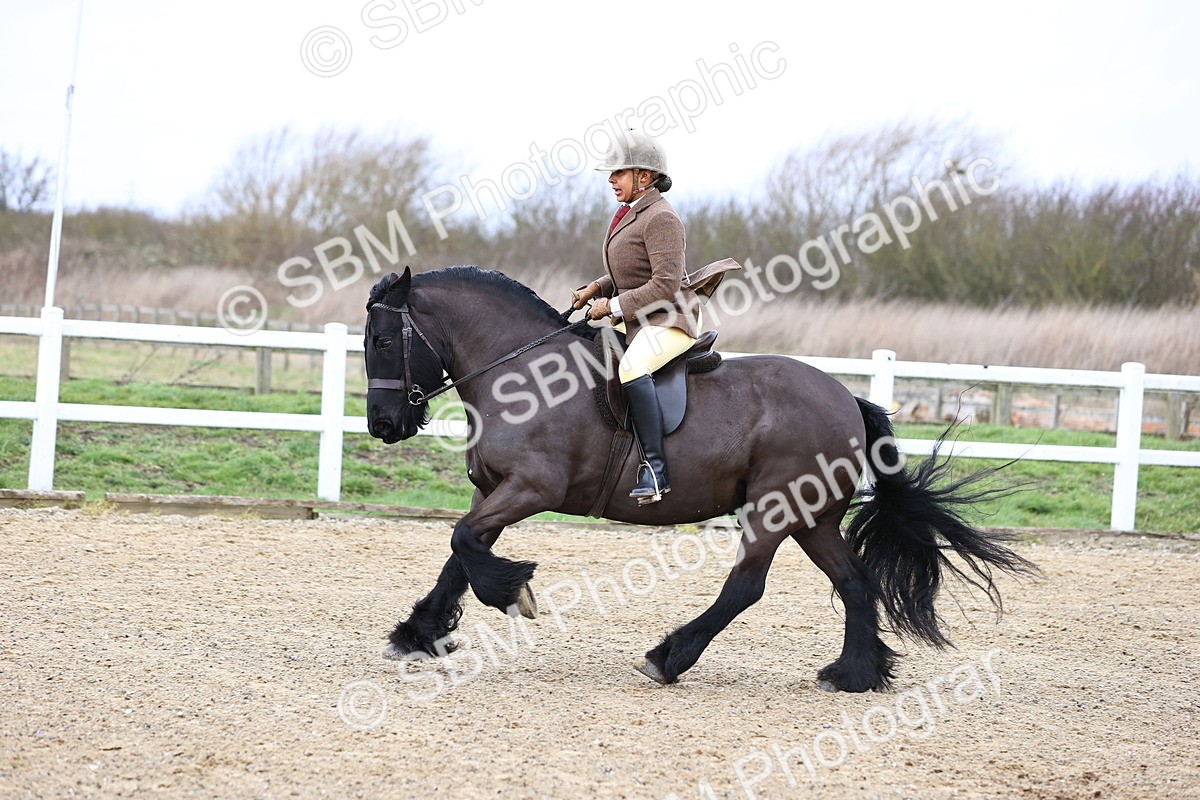 SBM_006943 - Class 29 - 30 - M&M Pure Novice Small-Large Breeds