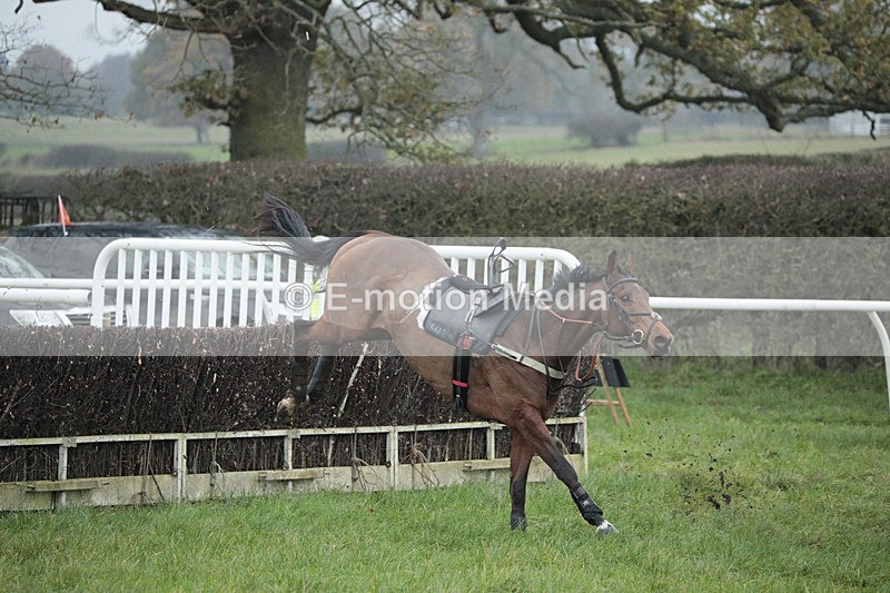 PtP 041222 0244 - Wheatland  Hunt PtP Chaddesley Corbett, Worcs 04/12/22