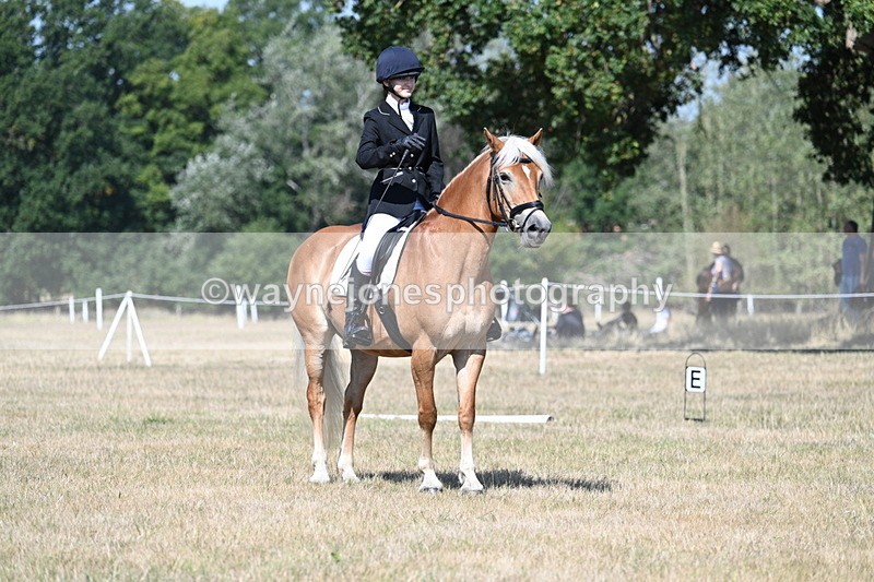 WJ7_0352 - Time 11:33 to 11:44