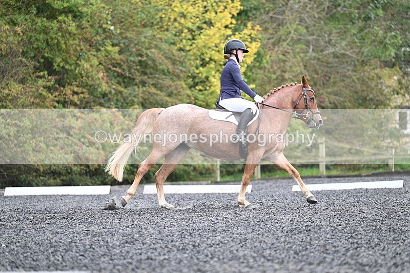 WJ7_3727 - Time 11:04 to 11:38