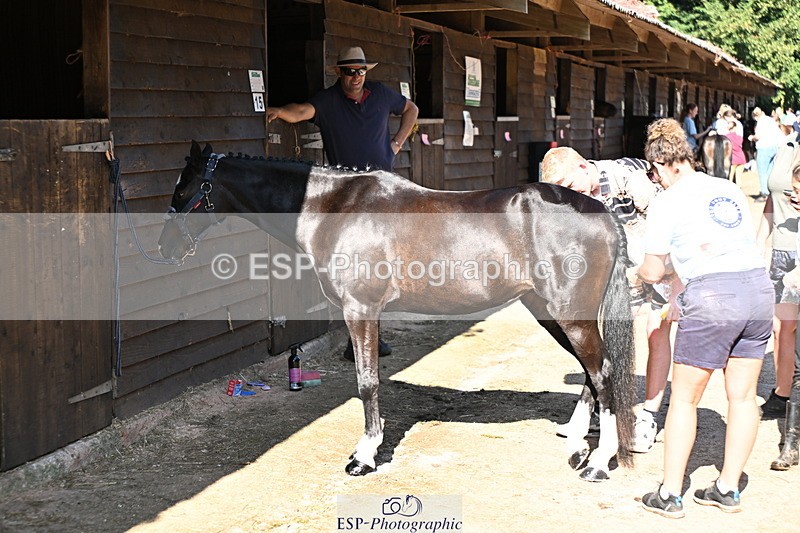 240729B-091340-01746 - Monday Stable Shots