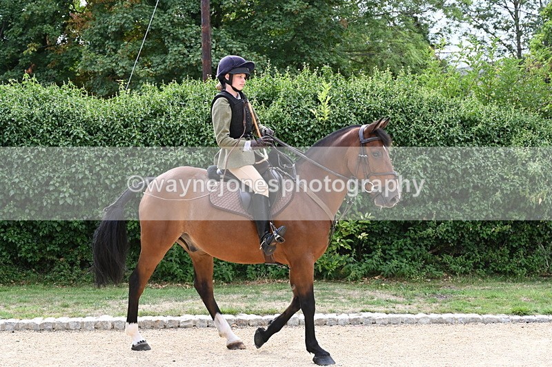 WJ6_3473 - Berks & Bucks - The Old farmhouse - Hound Exercise 20-08-25