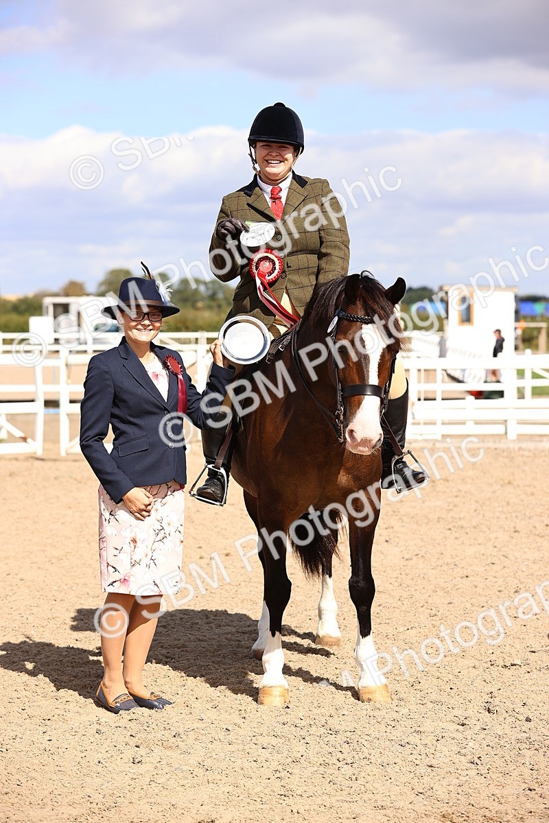 SBM_14319 - Class 411 - Prettiest Mare (IH OR Ridden) Adult