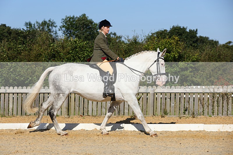 1X9A7758 - Class 9: Open Ridden Hunter