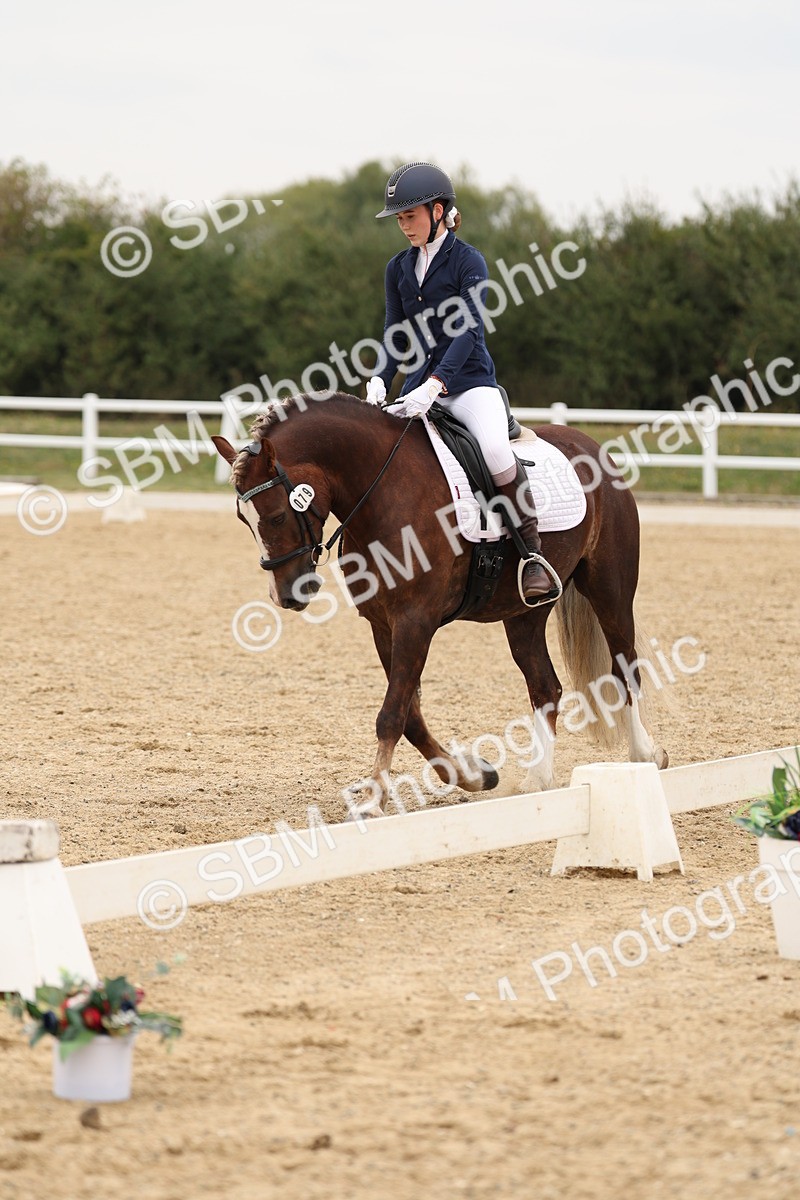SBM_01046 - Class 8 - Novice 27 Champs