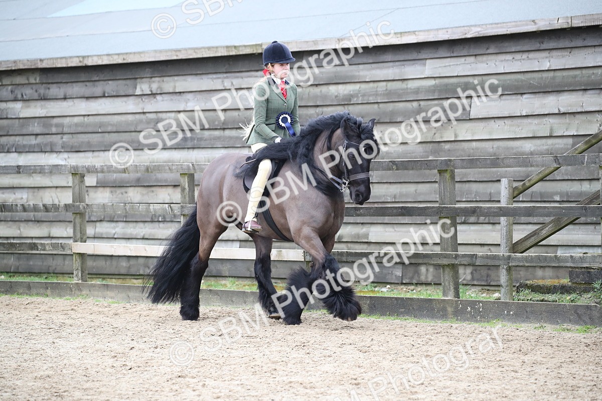 SBM_006476 - Class 10-13 - RIHS Small Large Breeds