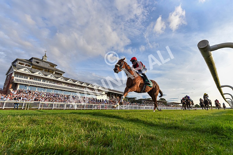 140826-Race 4-Raging Raj-5407 - Race 4 19.18pm Andrew Seaton Celebration Cup Handicap
