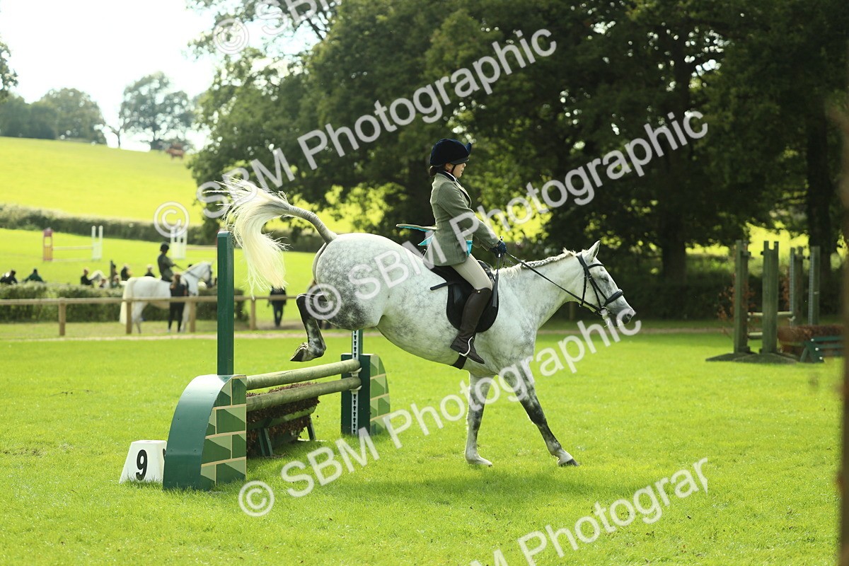 SBM_48009 - S32 - Novice & Newcomers Working Hunter