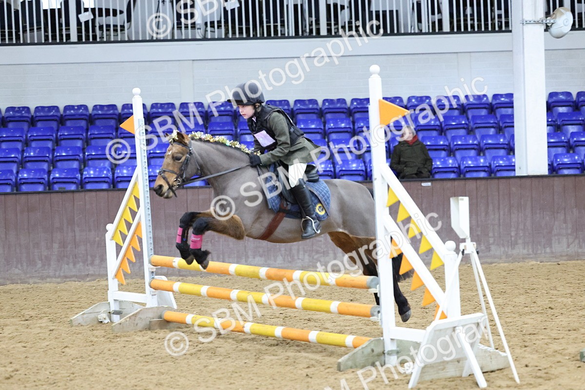 SBM_001139 - Class 3 - Christmas Tree Stakes - 60cm