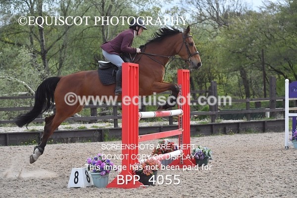 BPP_4055 - CLASS 9 - FRI - Senior Newcomers/ 1.10m Open