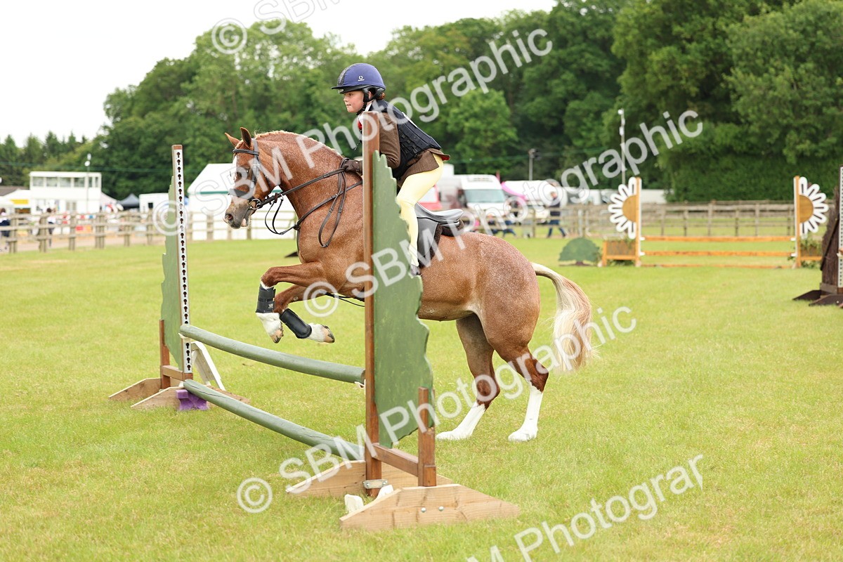 SBM_10269 - Class 44-45 - LIHS BSPS Open Nursery and Cradle Stakes