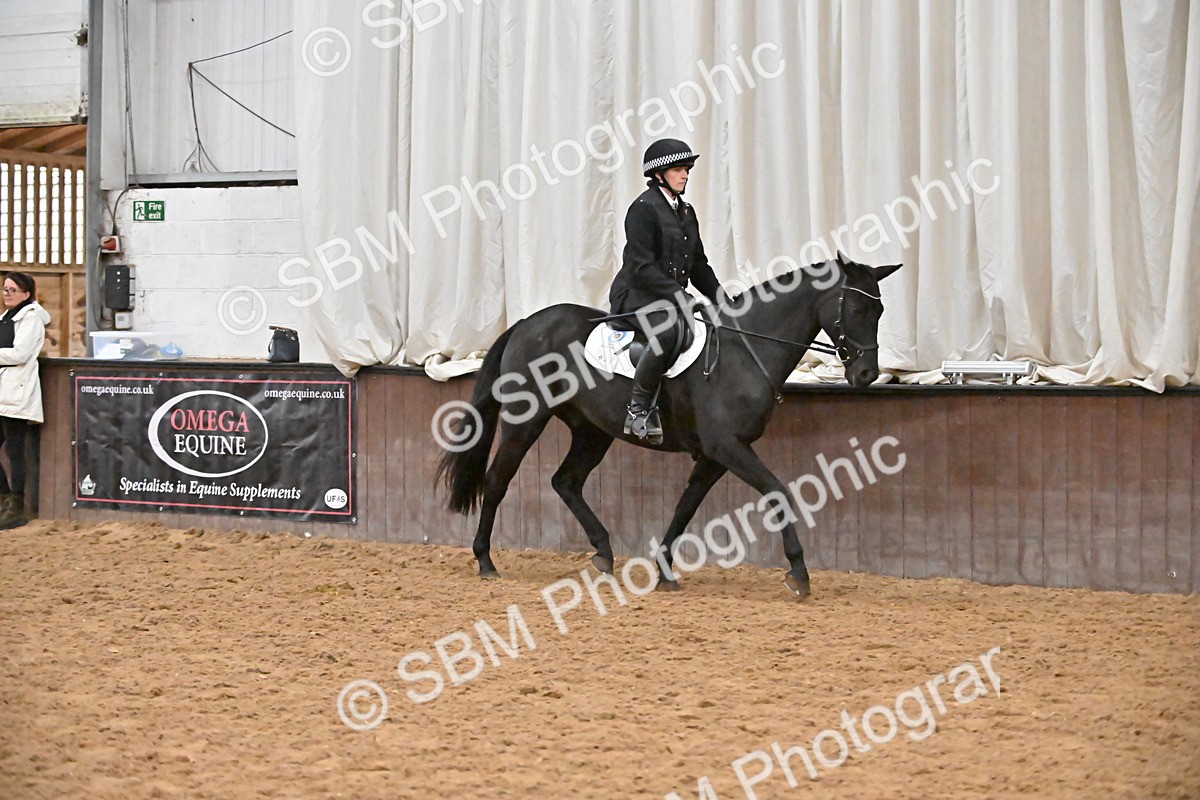 SBM_002975 - Class 37,38 - UKPSAF Performance Horse & Pony