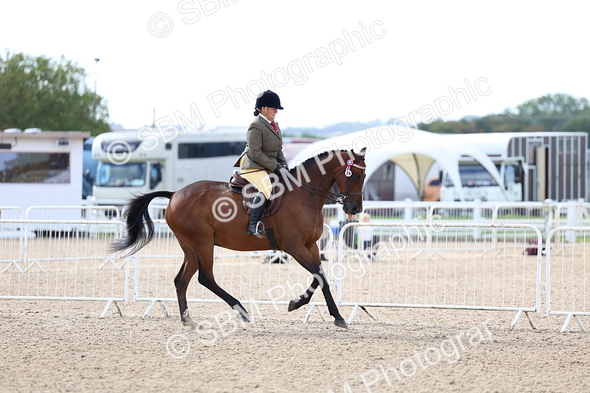 SBM_09165 - Class 303 - Ridden Pure Bred Horse Pony