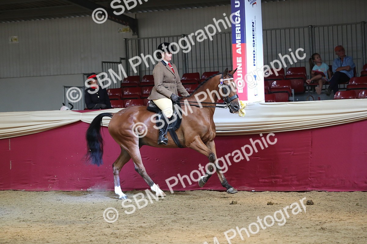 SBM_08318 - Class 11R Regional Ridden Veteran
