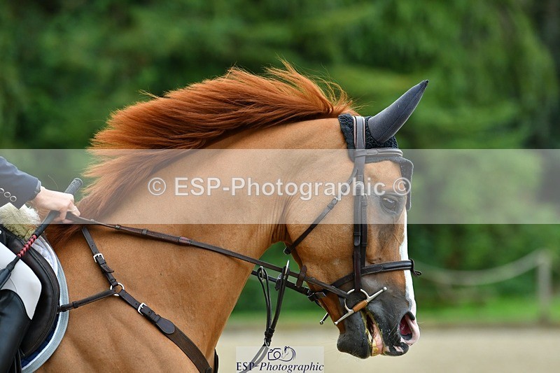 230712-084500-21300 - Cls 54 4 Yr Olds