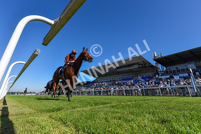 130525-Race 6-Analogical-2042 - Race 6