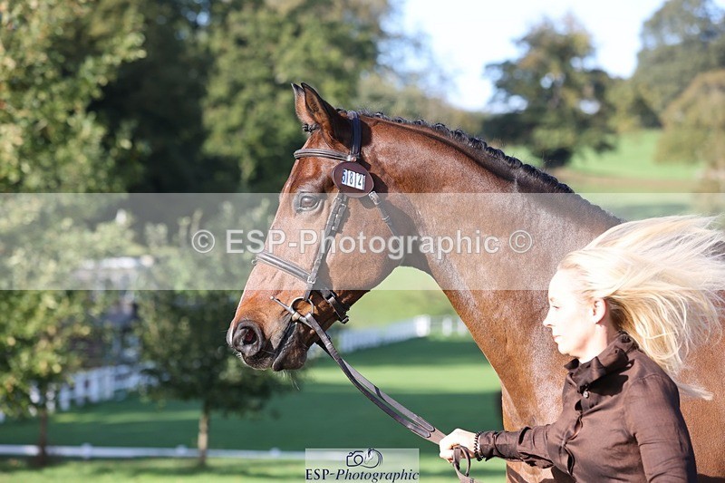 241027-103158-15950 - 582-Courtney.Romcke-JD.ON.THE.ROCKS