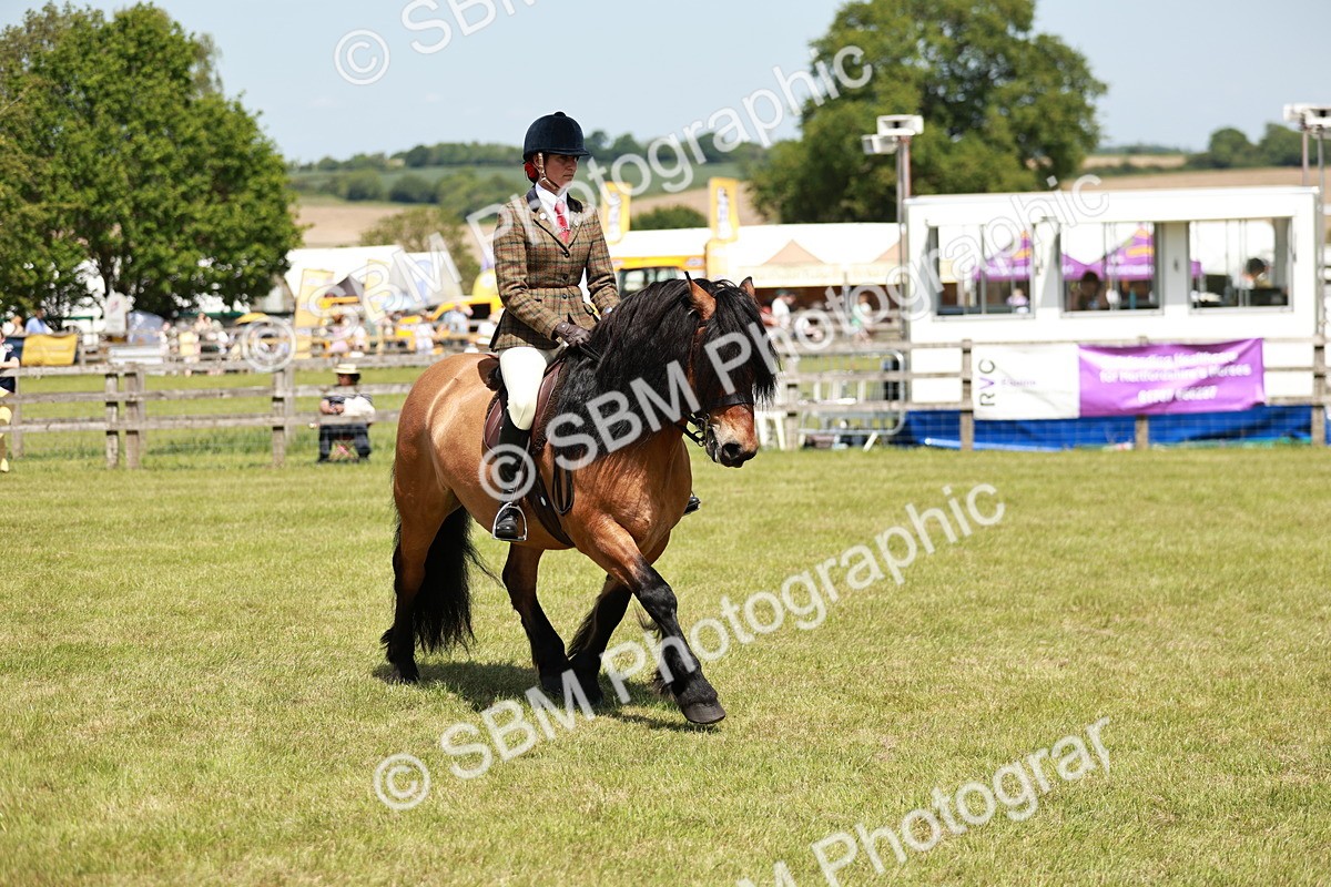 SBM_07101 - Class 26-30 - Mountain and Moorland Ridden