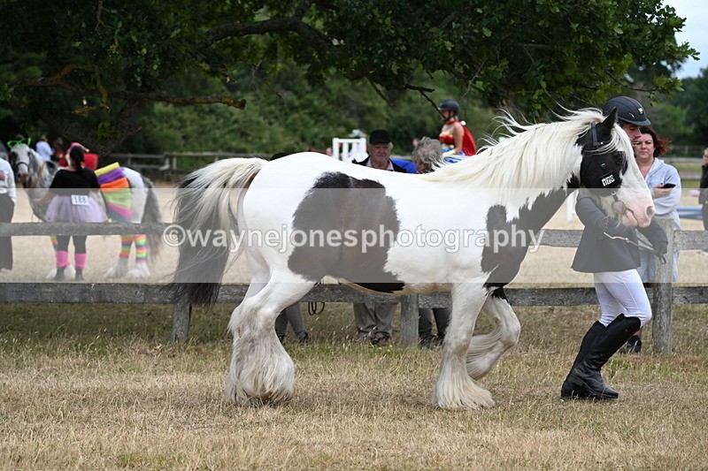 WJ6_8347 - Class 10 Coloured in Hand