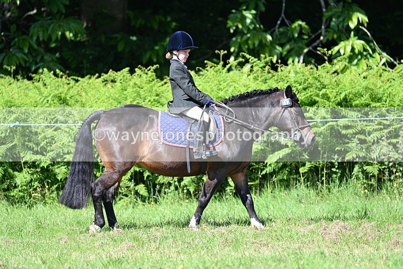 WJ7_0755 - Class 8 First Rally Pony