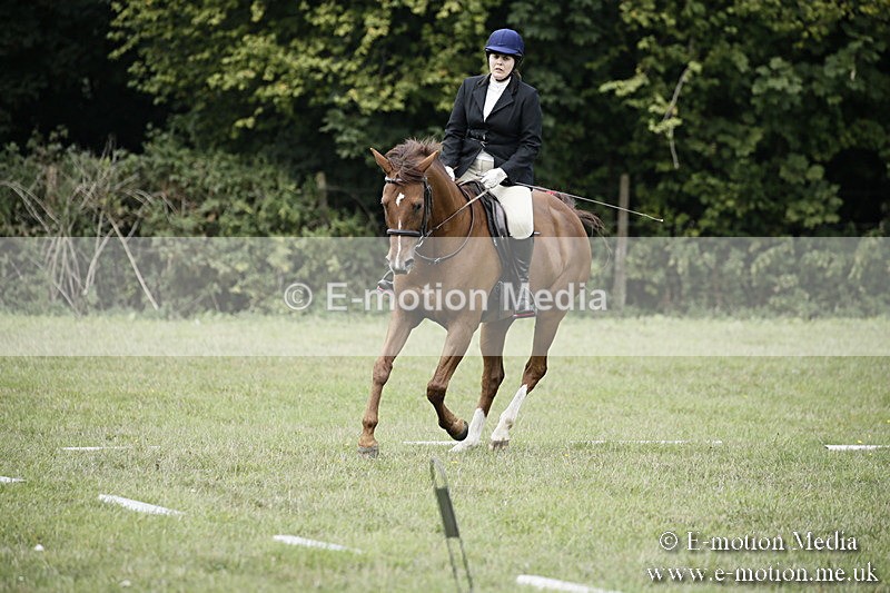 BVR090918 135 - BVRC Dressage and Show Jumping 09/09/18