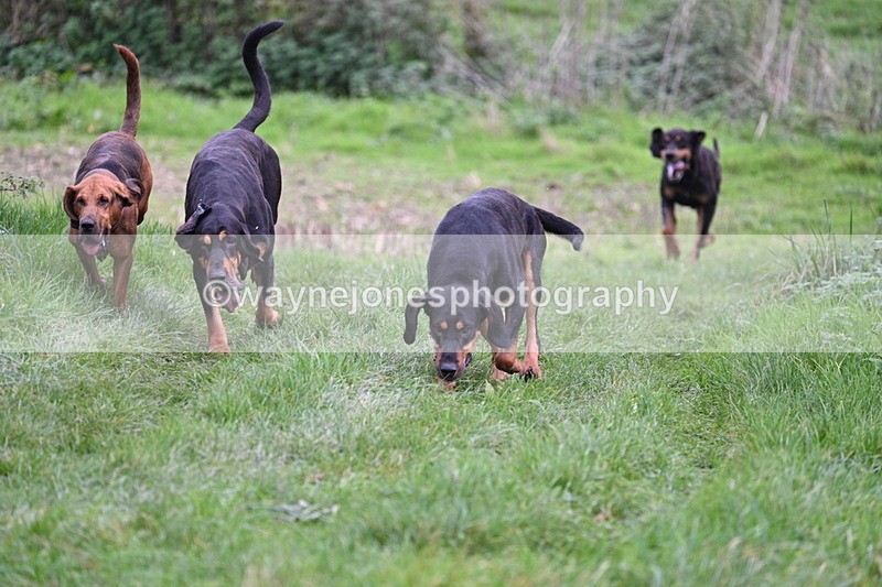 WJ7_8897 - Camera 1 only on this line