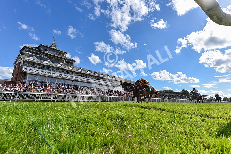 160624-Race 3-Mereside Diva-2 - Race 3