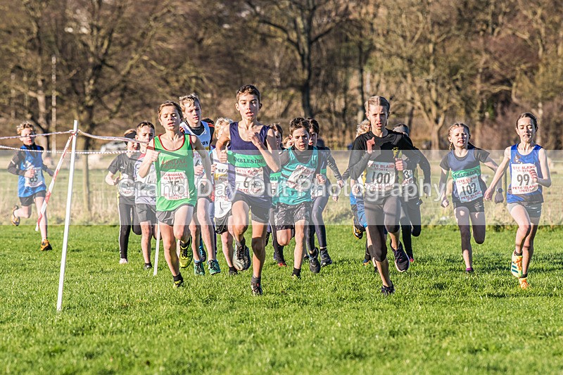 Workington XC-49 - Workington Cross Country Curwen Park, Saturday 3rd December 2022