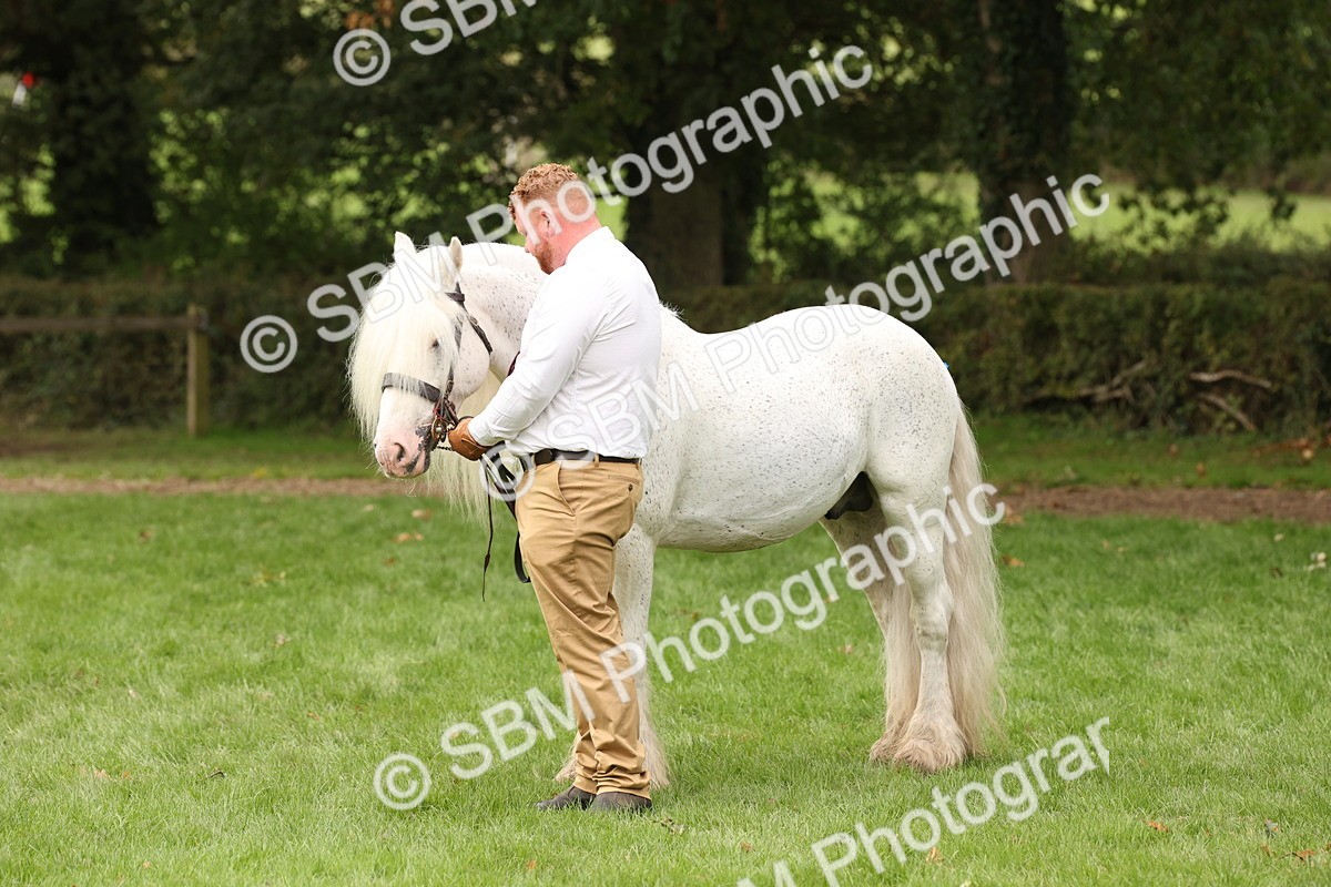 SBM_59321 - S57 - Traditional Cob In Hand