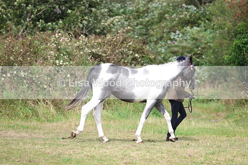 3E7A5335 - Class 19: Best Coloured in Hand