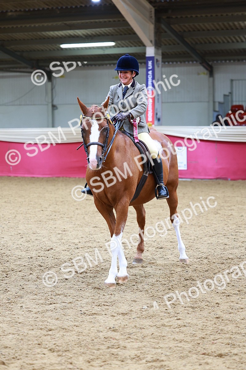 SBM_00844 - Class 6A - Ridden Pre-Vet